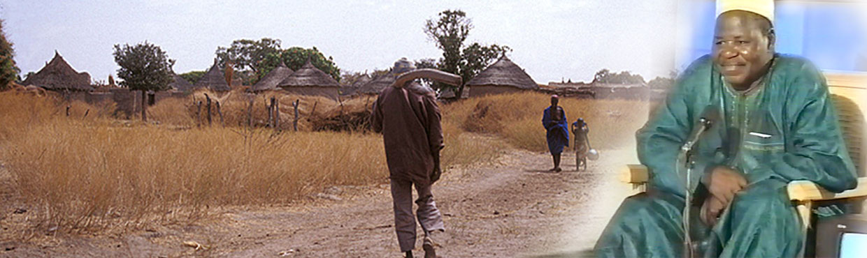 Écrivain, comédien, réalisateur et dramaturge malien